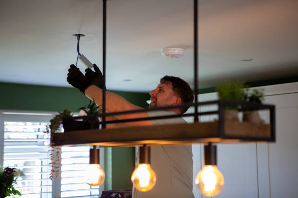 Best Local Electrician Companies  in Plumas Lake, CA